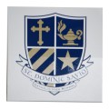 Savio logo2