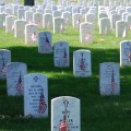 Graves_at_Arlington_on_Memorial_Day